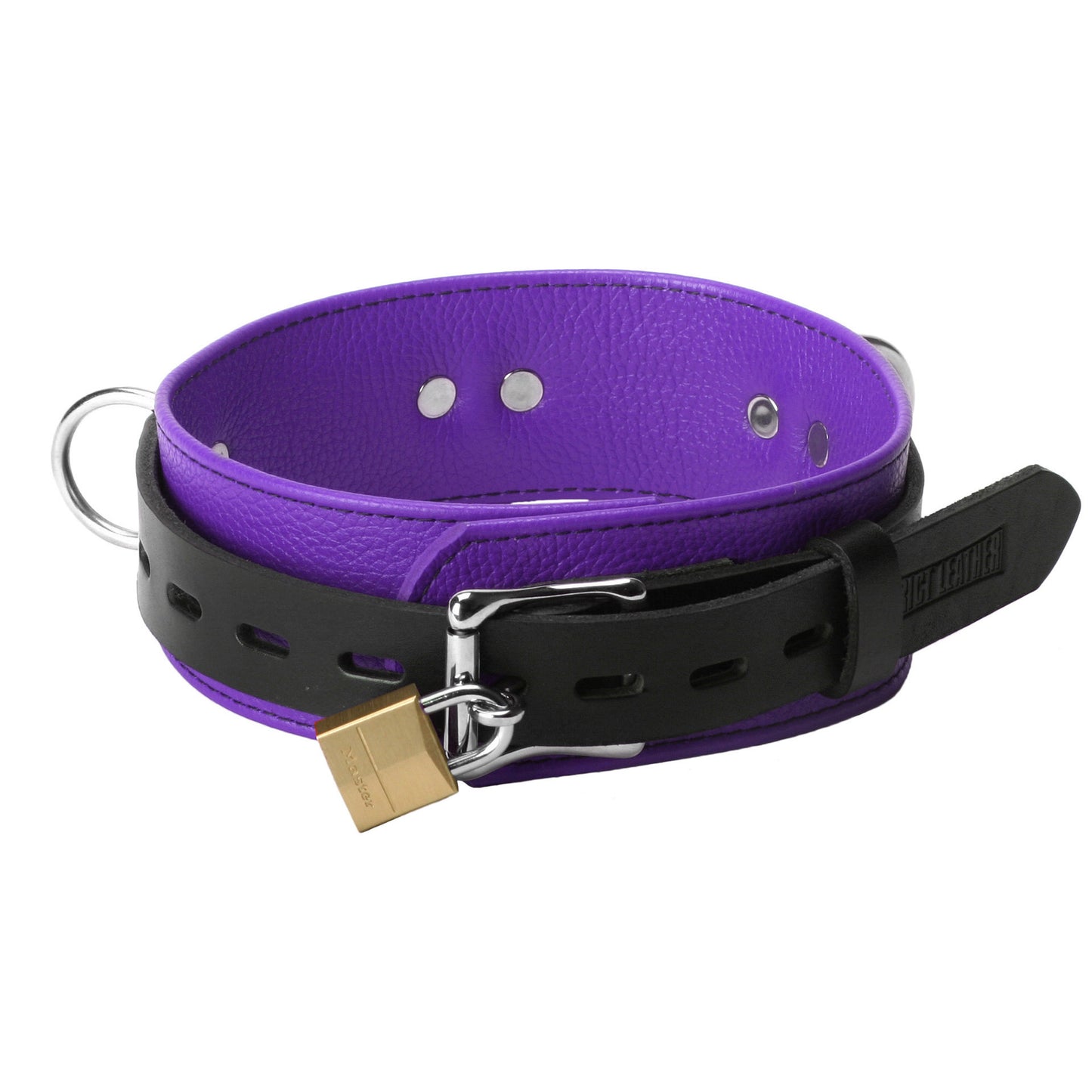 collar, bondage gear, bdsm, kink
