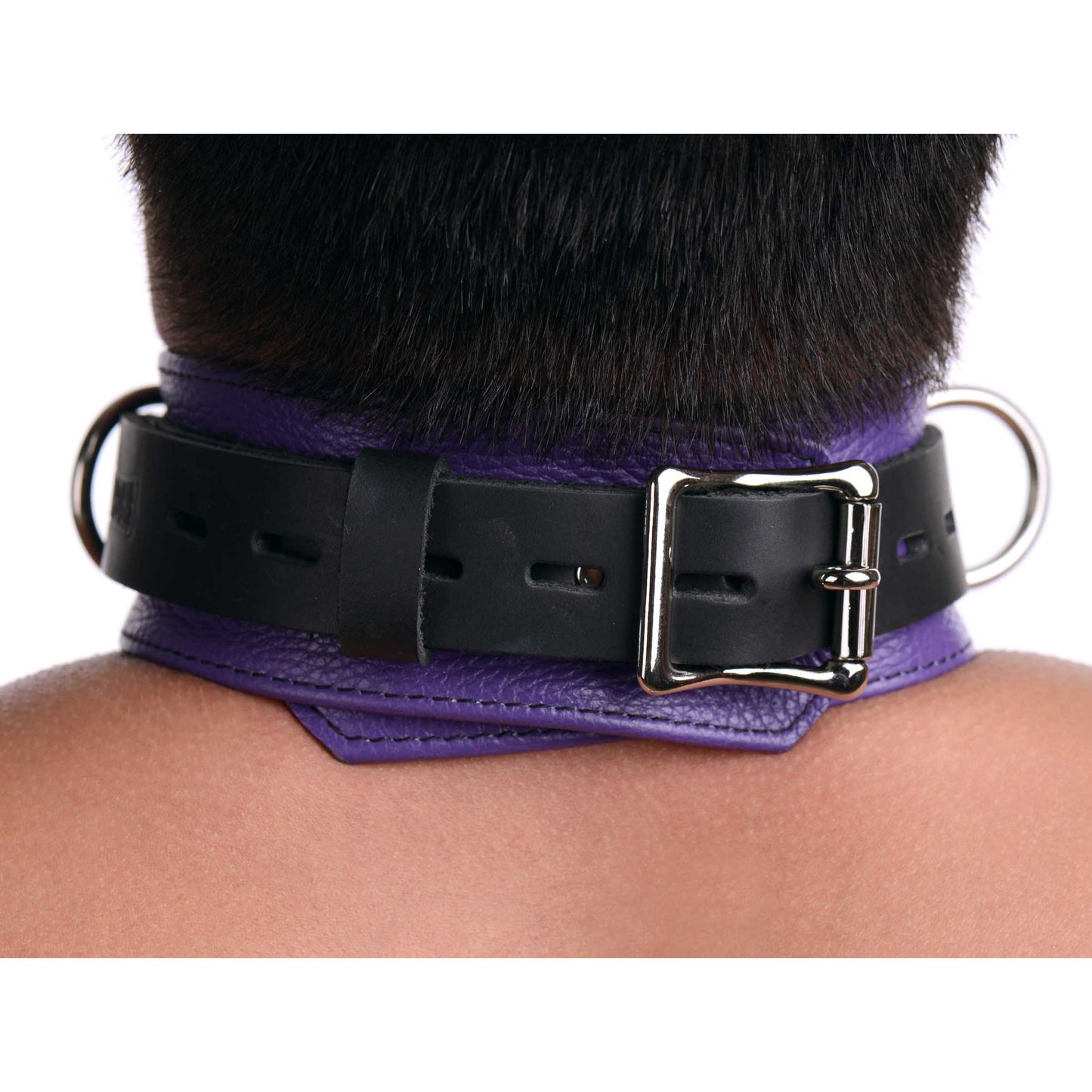 collar, bondage gear, bdsm, kink