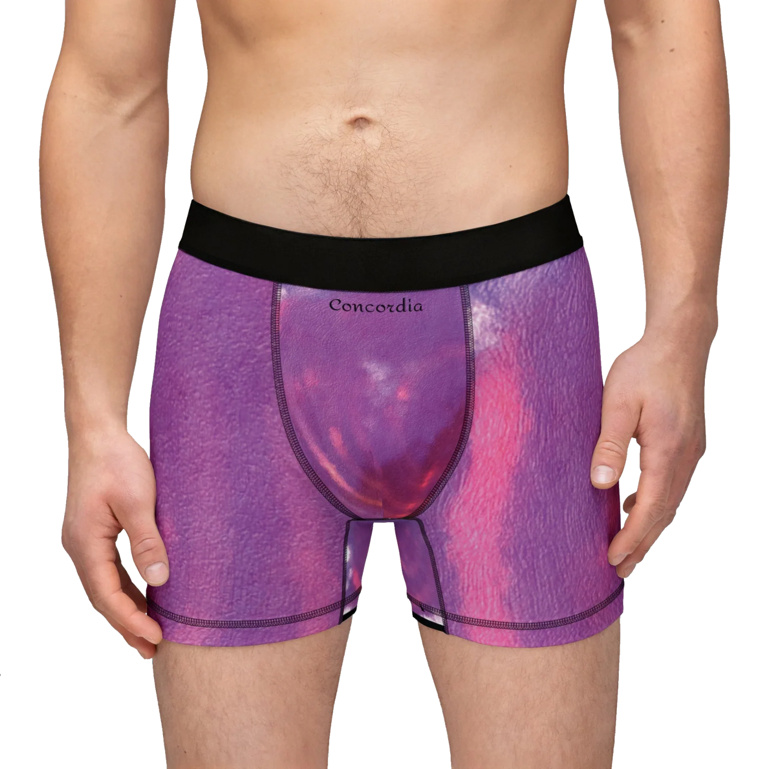 Briefs