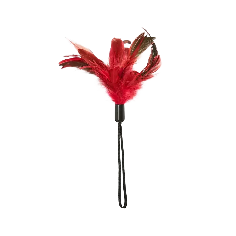 Sensory Toys (Feathers, Wartenberg Wheels)