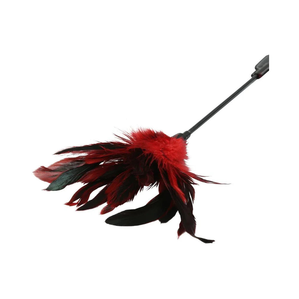 S & M Feather Slapper