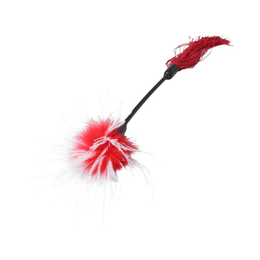 S&M Whip & Tickle