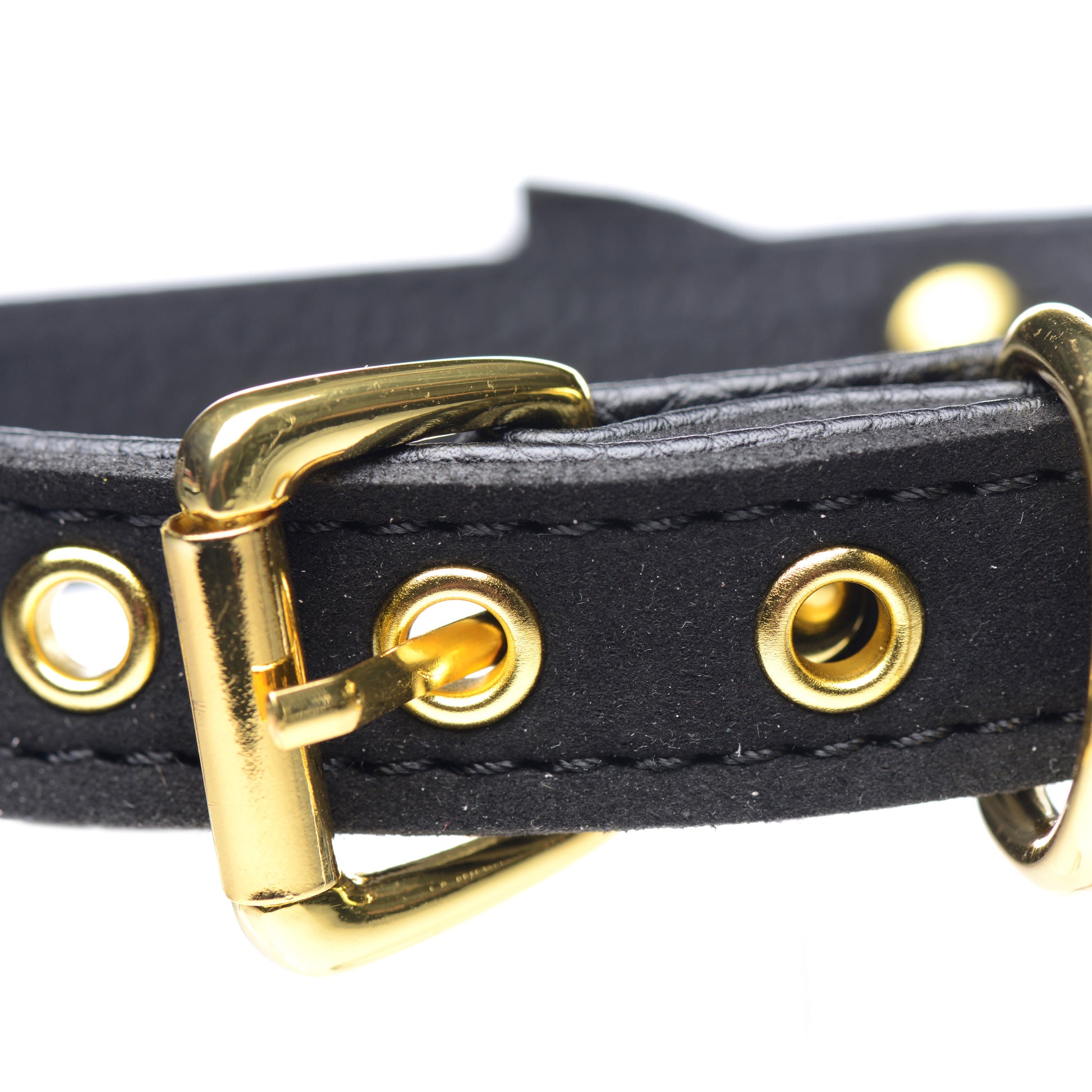 collar, neck, restraint, bondage gear, bdsm wear, kink, fetish