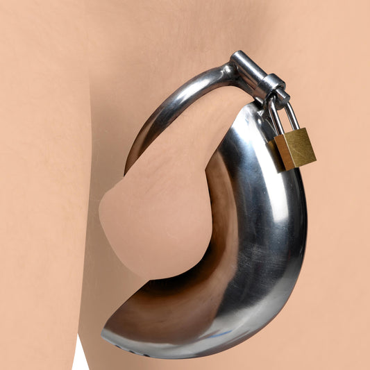 chastity, male, submission, cock cage, penis lock