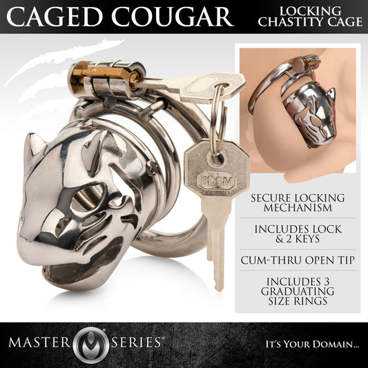 chastity, male, submission, cock cage, penis lock