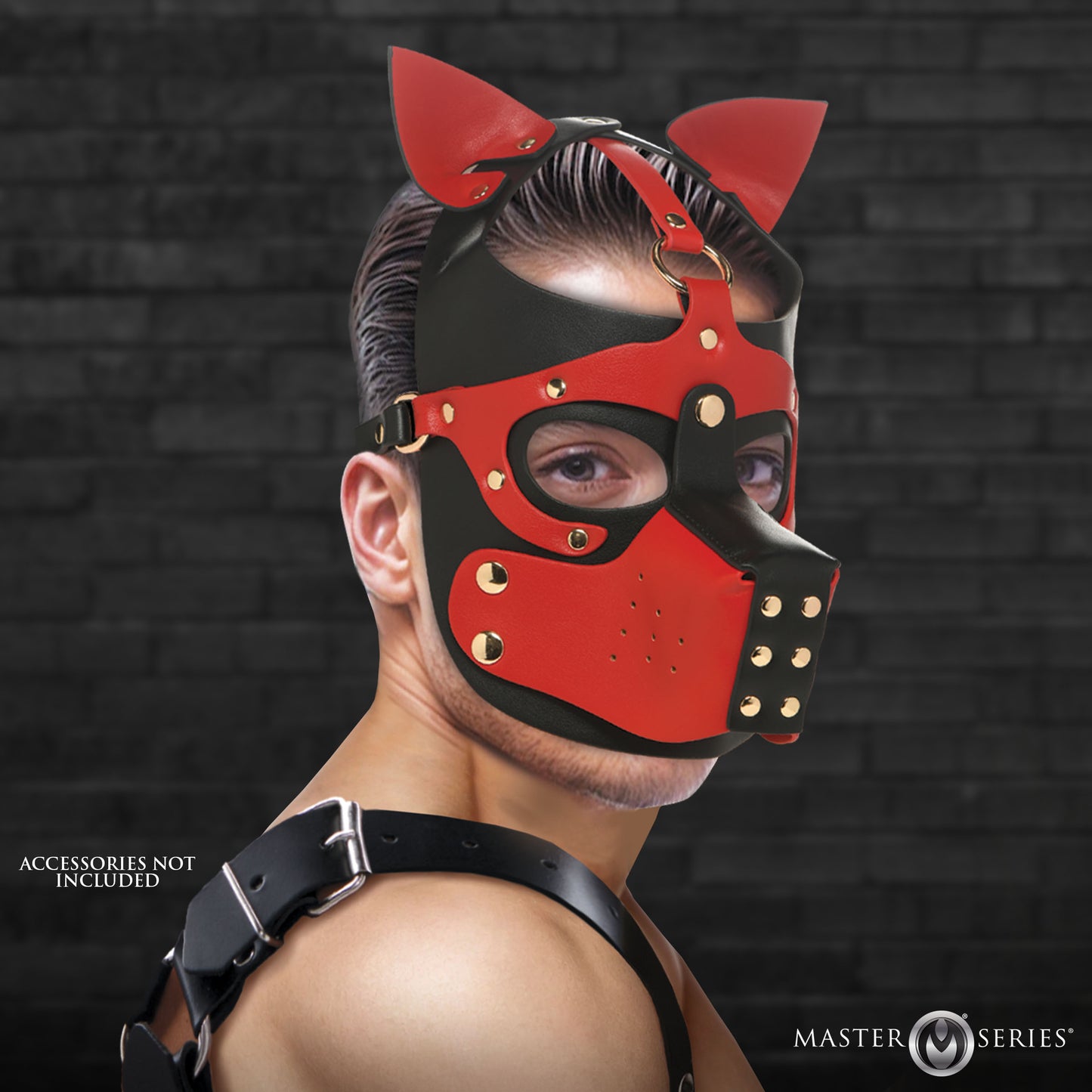 hood, muzzle, bdsm gear, gag, fetish, kink, blindfold