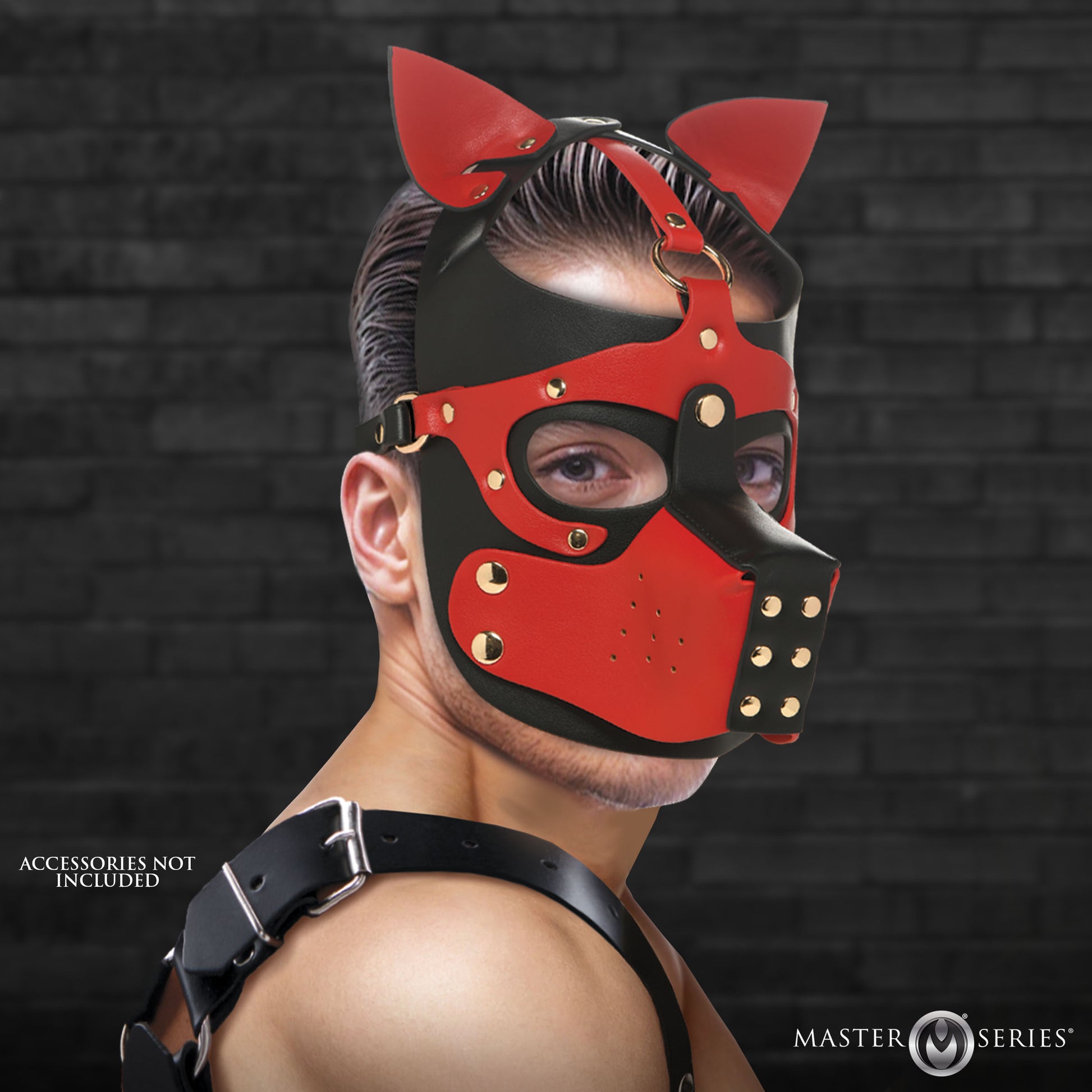 hood, muzzle, bdsm gear, gag, fetish, kink, blindfold